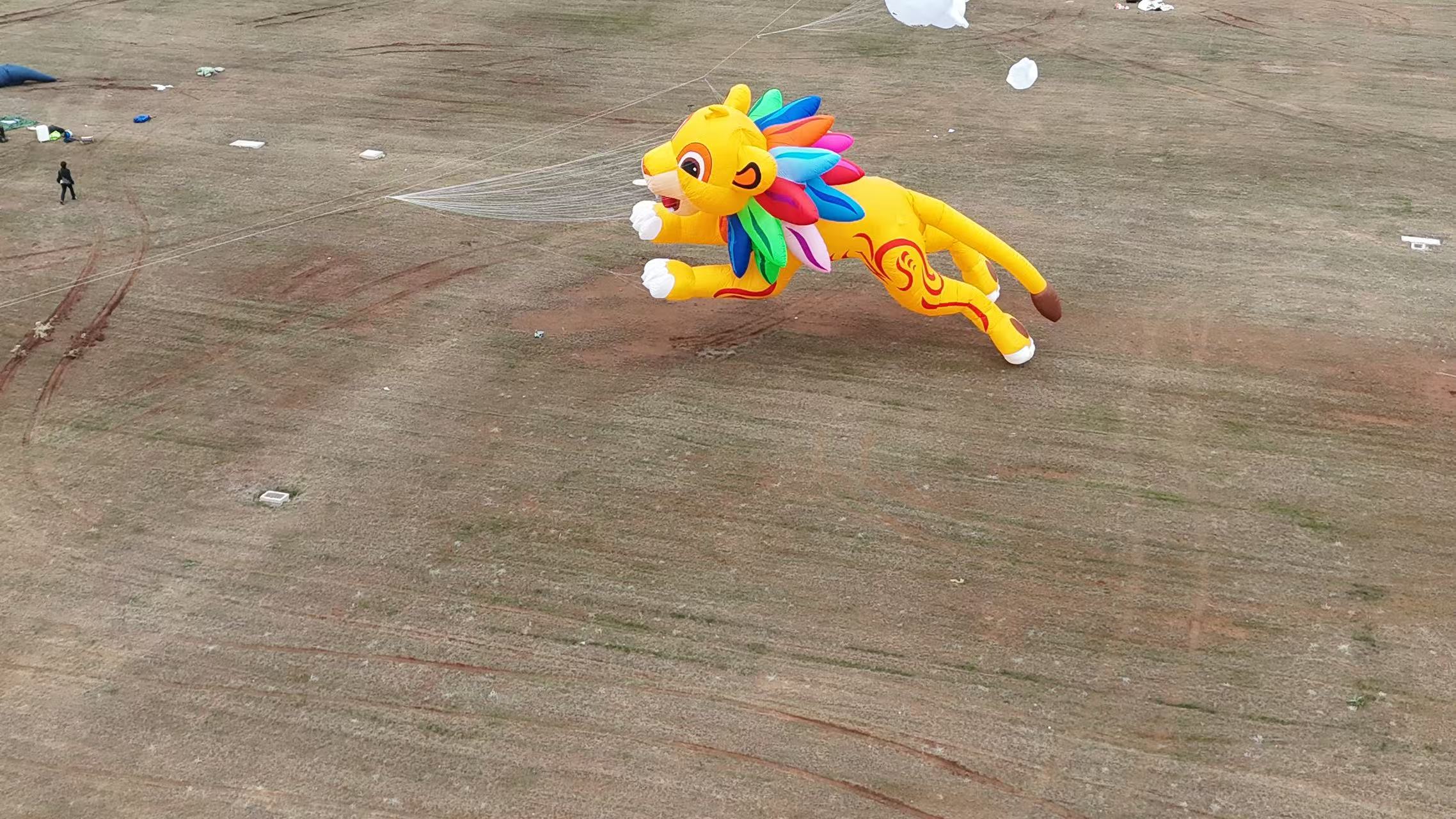 五家渠市品牌风筝定制风筝商业放飞 - 推荐