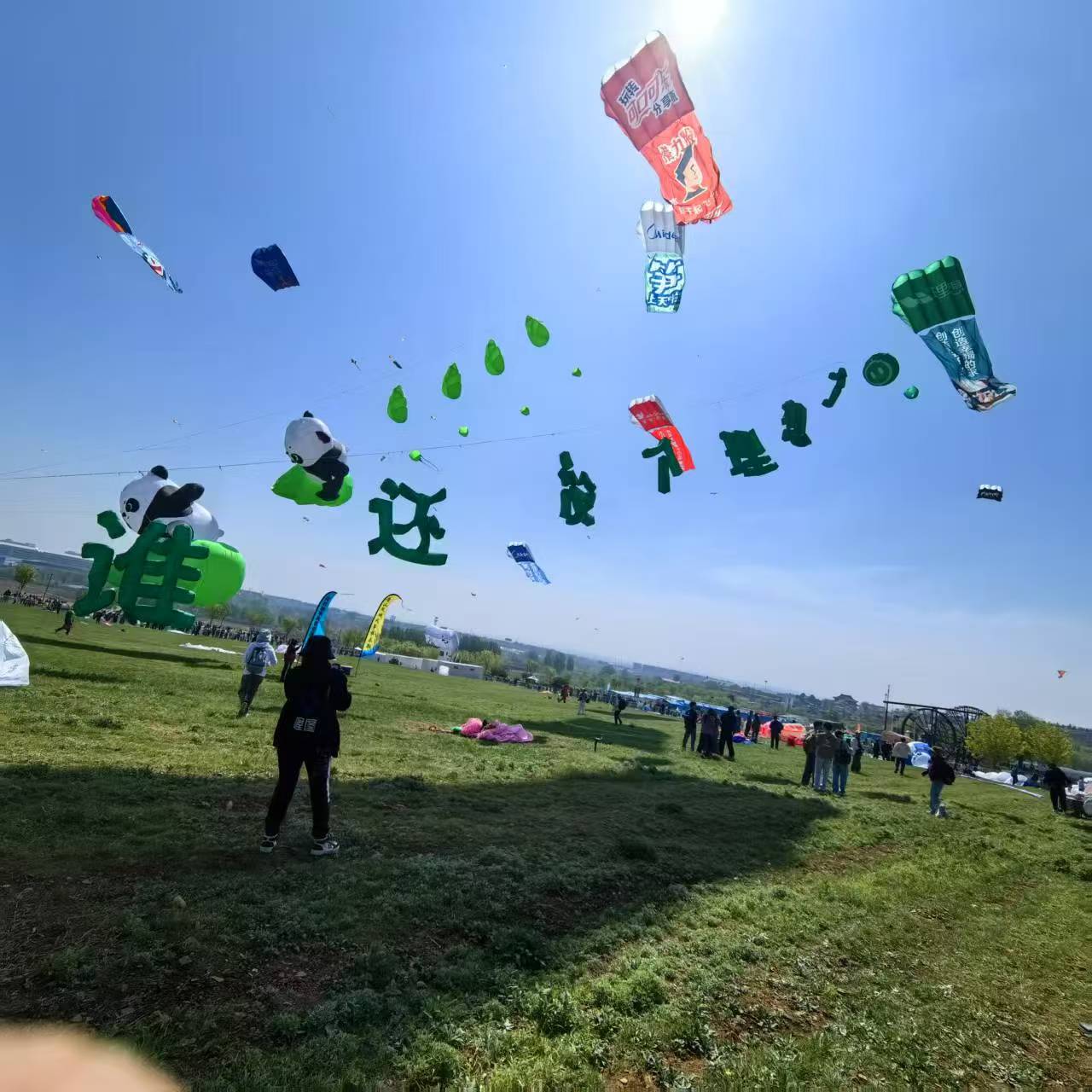 五家渠市宣传风筝定制风筝定制 - 价格
